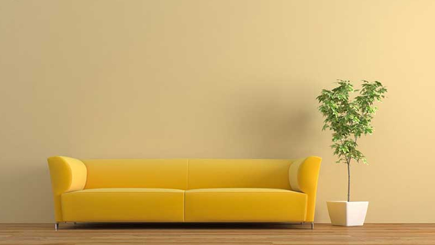 Chọn sofa màu vàng